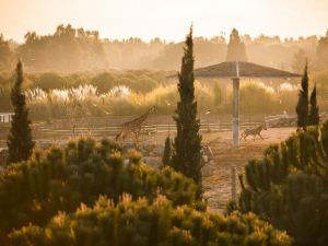 İzmir Doğal Yaşam Parkında Yeni Rekor