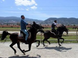 Rahvan Atlar Birincilik İçin Yarıştı