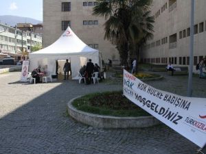 Kök Hücre Müracaatında Rekor