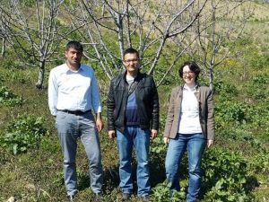 Tarımda Afet Hasar Tespit Çalışmaları Tamamlandı