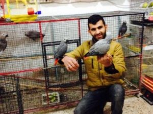 Kaybolan Papağanı Bulana 500 Lira Ödül Verecek