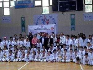 Miniklerden Tekvando Festivali