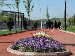 Pursaklar Çiçek Açtı