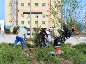 Akçakoca Yeşillendiriliyor