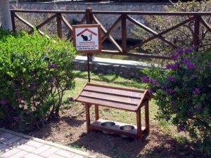 Sokak Hayvanlarına Yeni Beslenme Üniteleri