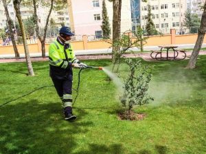 Şehitkamil Belediyesi, Ağaçlarda İlaçlama Çalışması Başlattı
