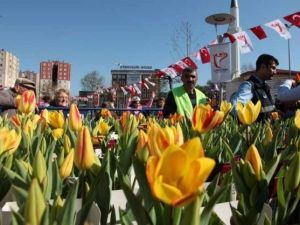 Bahar Güngören’e Renk Getirdi