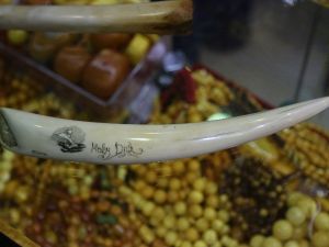 Nesli Tükenmekte Olan Hayvan Parçalarından Yapılmış Süs Eşyası Satan Şüpheli Yakalandı