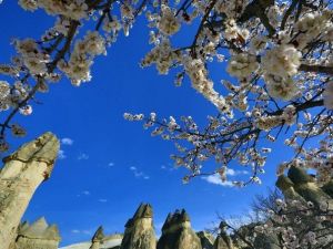 Kapadokya’da Bahar