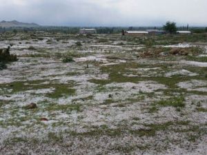 Kozan’da Dolu Yağdı, Ekili Alanlar Beyaza Büründü