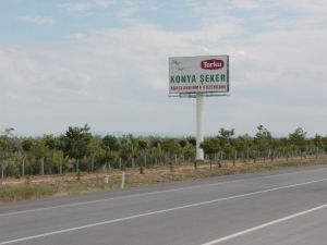 Konya Şeker 18 Milyon Fidan Dikti