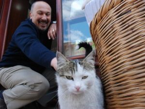 Kedinin Şarküteri Kapısında Çökelek Nöbeti