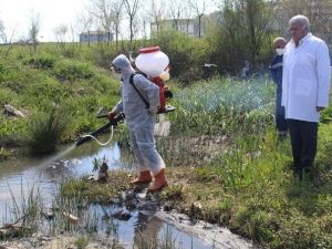 Çerkezköy’de Larva Üreme Alanları İlaçlandı