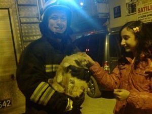İtfaiyeden Kedi Kurtarma Operasyonu
