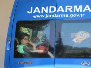 Muğla’da Kargo Aracında 46 Kaçak Yakalandı