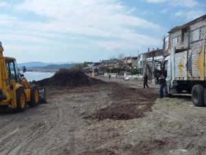 Edremit’te Sahiller Temizleniyor