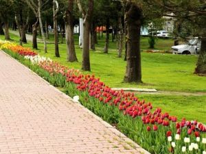 Kocasinan Renkleniyor