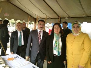 AK Partililerden Kutlu Doğum Standına Ziyaret