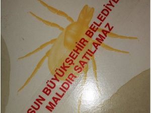 Samsun’da Kene Mücadelesi Başladı