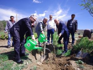 10 Bin Fidan Toprakla Buluştu