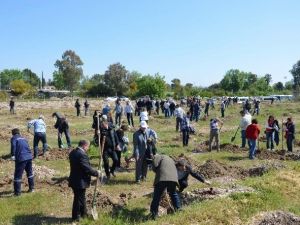 DSİ, Fidanları Toprakla Buluşturdu