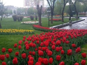 Kayseri Lalezar’a Döndü