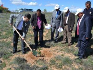 Kulu’da 16 Bin 600 Fidan Toprakla Buluşturuldu