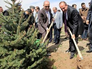 Gölbaşı’nda Hedef 15 Bin Fidan