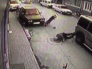 Bisikletle Otomobilin Çarpışması Kameralara Yansıdı