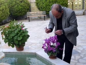 İmamın Çiçek Merakı