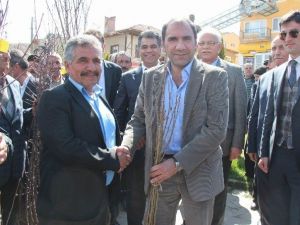 Doğanşar’da Çifçilere Meyve Ve Çam Fidanı Dağıtıldı