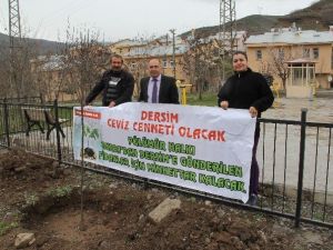 Bursa’dan Tunceli’ye 20 Bin Fidan