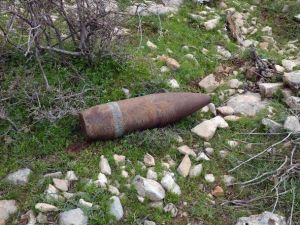 Siirt’te Mühimmat Ele Geçirildi