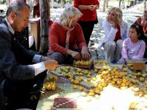 CHP Adayı Çalıkuşu, Alanya Esnafını Ziyaret Etti