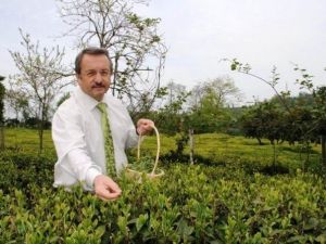 Diyarbakır Ve Mardin’de Ödüllü Çay İçme Yarışması Yapılacak