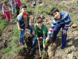 Öğrenciler Yeşil Bir Yunusemre İçin Fidan Dikti