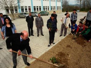 Hisarcık Anadolu İHL’de Gülfidanı Dikim Etkinliği