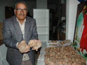 Topladığı Dolamanları Araplara Satıyor