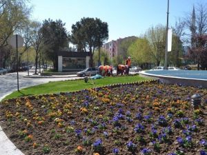 Çan’da Bahar Temizliği