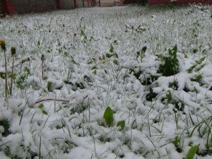 Erzincan’da Nisan Ayında Yağan Kar Çocukları Sevindirdi