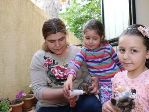 Ana Yüreği Yavru Kedilere Dayanamadı