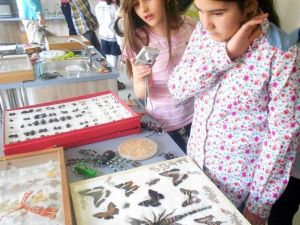 Çocuklara Böceklerin Önemi Anlatıldı
