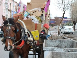 Arkadaşları Eğlenirken Soğuk Havada Kağıt Topladı