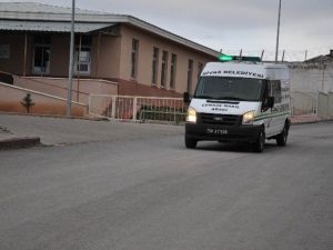 Dün Cezaevine Girdi, Bugün İntihar Etti