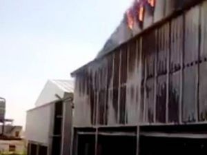 Bursa’da Tavuk Çiftliğinde Korkutan Yangın