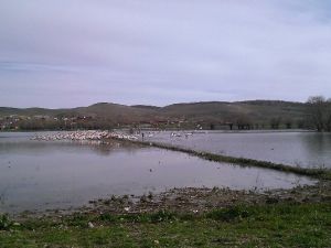 Burası Akin Kuş Cenneti