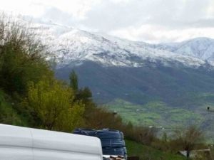 Kulp Beyaza Büründü