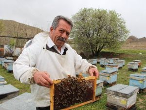 Arıcıların Kar Korkusu