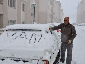 Kar Yağışı Meyve Ağaçlarını Vurdu