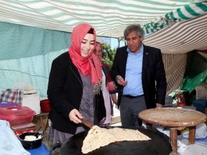 AK Partili Sena Nur Çelik: